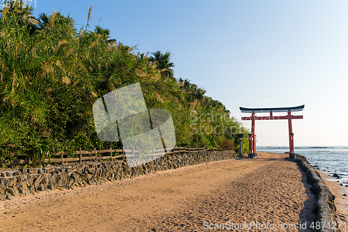 Image of Aoshima Shrine of Japan