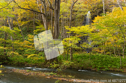 Image of Autumn Colors of Oirase River