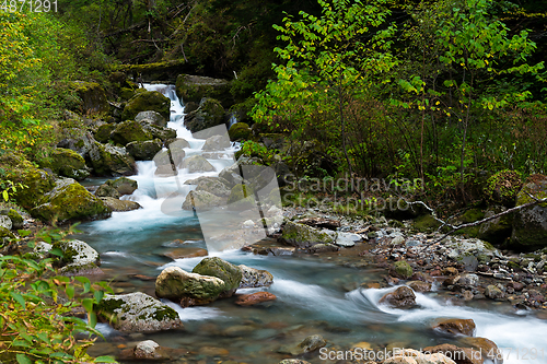 Image of Cascade of waterfall in forest