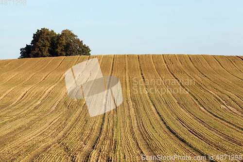 Image of plowed soil