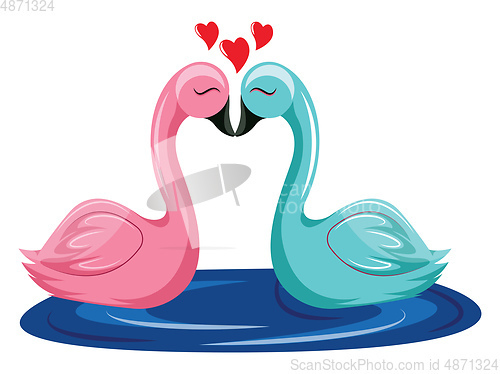 Image of Pink and blue swan kissing in the water vector illustration on w