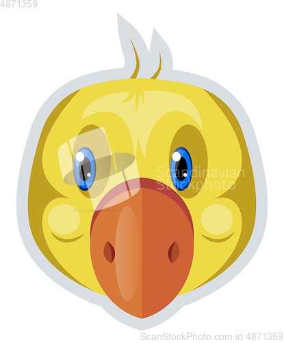 Image of Bird with Red nose, vector color illustration.