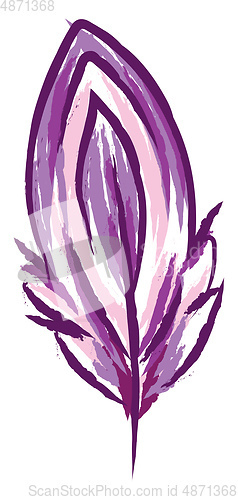 Image of A purple shade feather vector or color illustration