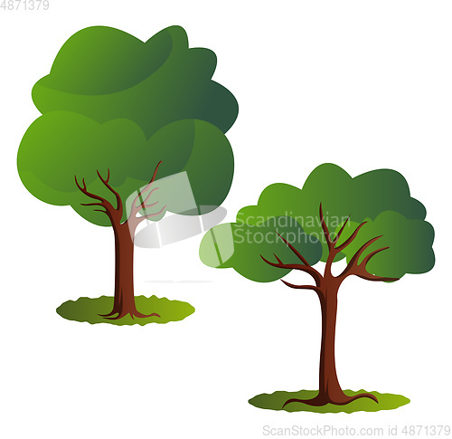 Image of Couple of green trees vector illustration on white background