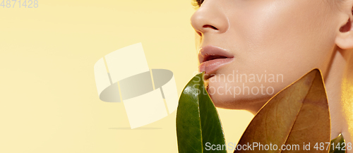 Image of Close up of beautiful female face with green leaves over yellow background. Cosmetics and makeup, natural and eco treatment, skin care. Flyer with copyspace.