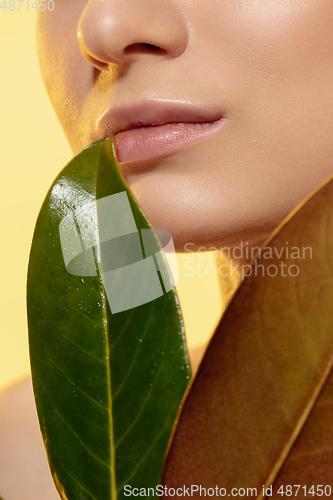 Image of Close up of beautiful female face with green leaves over white background. Cosmetics and makeup, natural and eco treatment, skin care.