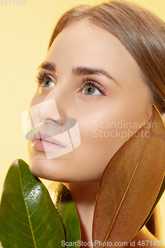 Image of Feminine. Close up of beautiful female face with green leaves over white background. Cosmetics and makeup, natural and eco treatment, skin care.