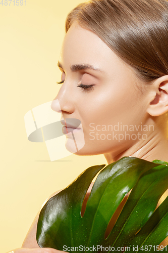 Image of Shiny. Close up of beautiful female face with green leaves over white background. Cosmetics and makeup, natural and eco treatment, skin care.