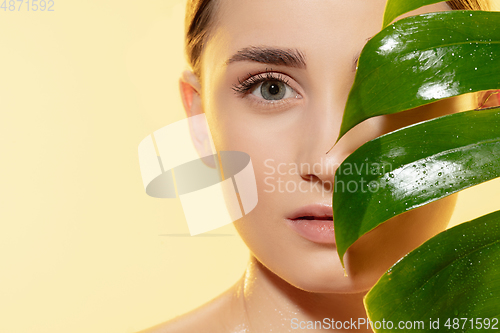 Image of Look. Close up of beautiful female face with green leaves over white background. Cosmetics and makeup, natural and eco treatment, skin care.