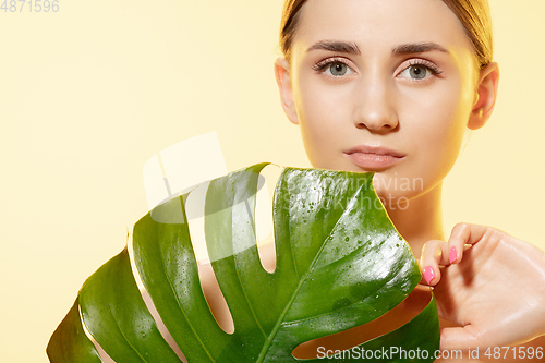 Image of Shiny. Close up of beautiful female face with green leaves over white background. Cosmetics and makeup, natural and eco treatment, skin care.