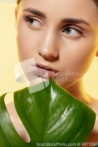 Image of Clear. Close up of beautiful female face with green leaves over white background. Cosmetics and makeup, natural and eco treatment, skin care.