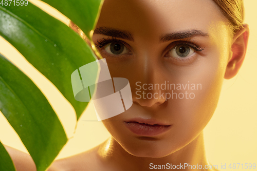 Image of Look. Close up of beautiful female face with green leaves over white background. Cosmetics and makeup, natural and eco treatment, skin care.
