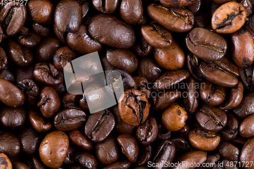 Image of Brown coffee bean