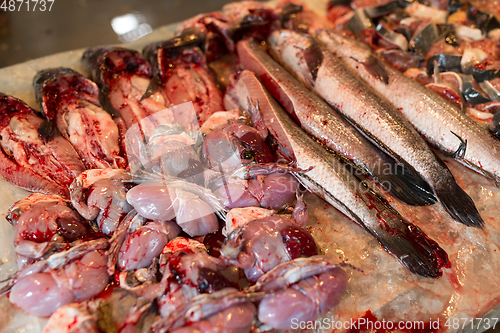 Image of Raw fish selling in wet market