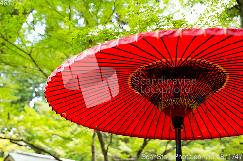 Image of Red paper umbrella in park