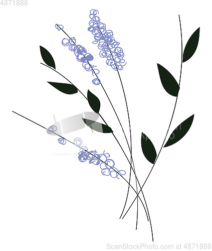 Image of Simple vector illustration of violet flowers with black leaves o