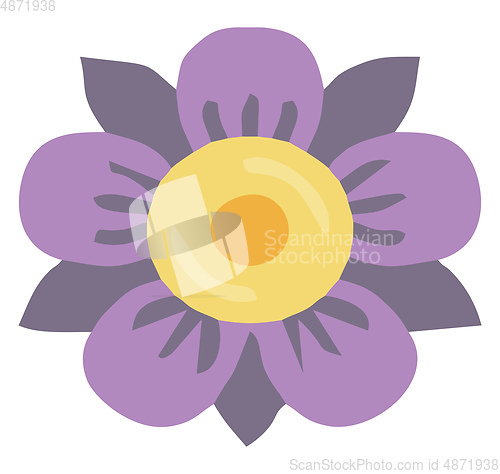 Image of Flower with mauve & violet petals vector or color illustration