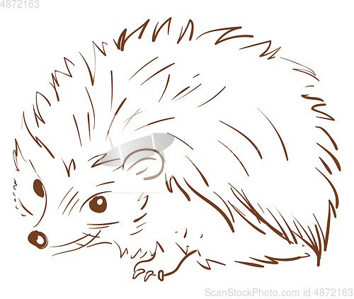 Image of A brown sketch of an animal hedgehog vector or color illustratio