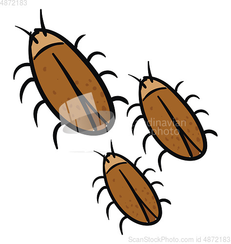Image of Three brown cockroaches vector illustration on white background.