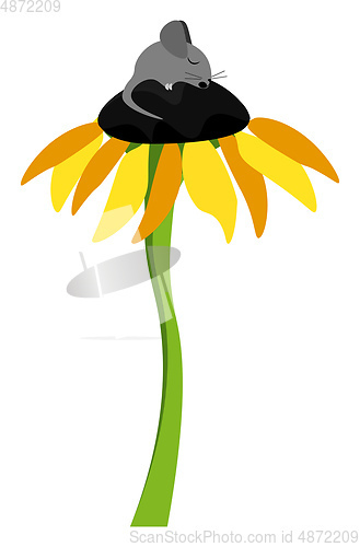 Image of Clipart of a cute little mouse sleeping on the floral disc of a 