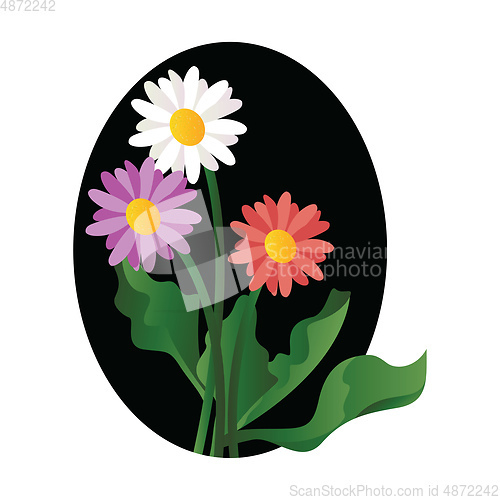 Image of Vector illustration of violet white and pink daisy flowers with 