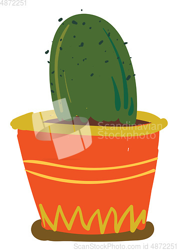 Image of A dome shaped cactus plant in an orange flower pot vector color 