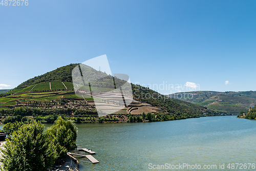 Image of Point of view shot of terraced vineyards in Douro Valley