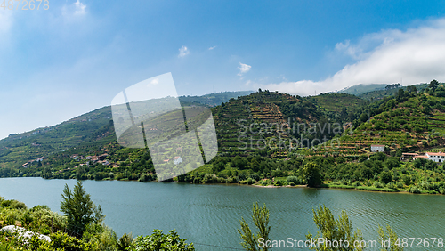 Image of View of Douro Valley, Portugal. 