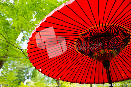 Image of Japanese red umbrella