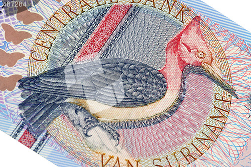 Image of Exotic bird on banknote from Suriname