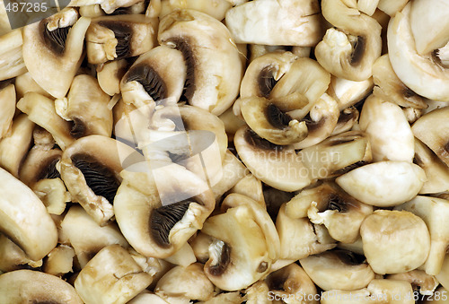 Image of Chopped Mushrooms