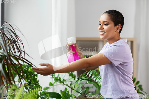 Image of woman spraying houseplant with water at home