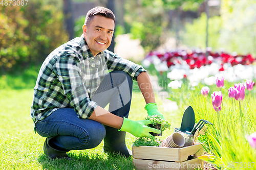 Image of middle-aged man with tools in box at summer garden