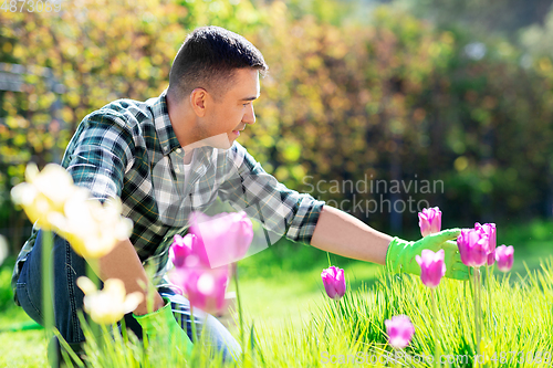 Image of happy man taking care of flowers at garden