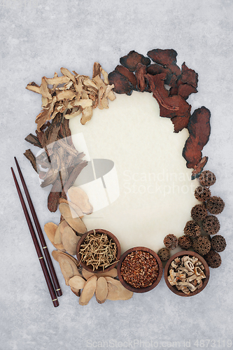 Image of Chinese Alternative Herbal Plant Medicine Herbs and Spice