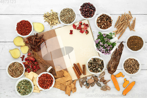 Image of Immune Boosting Healthy Herbs and Spices