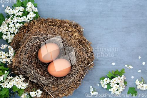 Image of Natural Organic Brown Eggs High in Protein