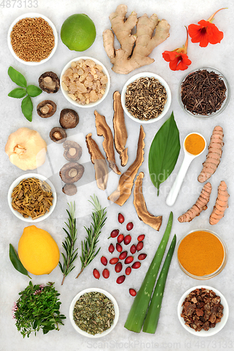 Image of Healing Health Foods to Boost the Immune System