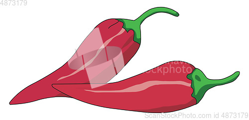 Image of Fresh red spicy pepper vector or color illustration