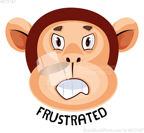 Image of Monkey is feeling frustrated, illustration, vector on white back