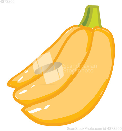 Image of Bunch of banana vector or color illustration