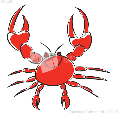 Image of Portrait of a red crab vector or color illustration