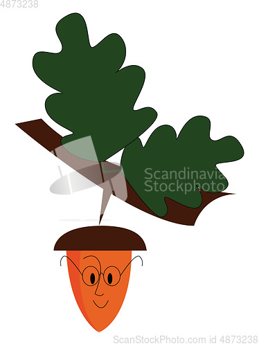 Image of An acorn dangling from a tree looks cute vector or color illustr