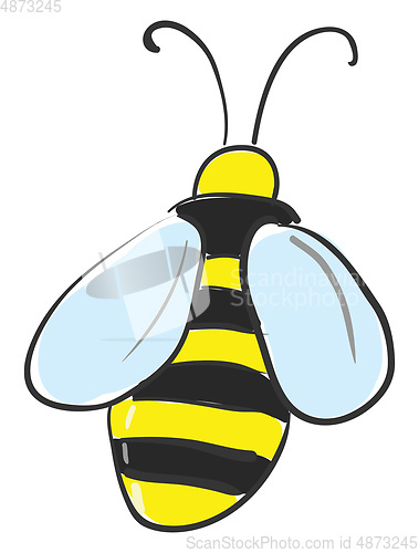 Image of Backward facing honeybee vector or color illustration