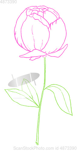 Image of Drawing of a purple-colored rose with green leaves vector or col