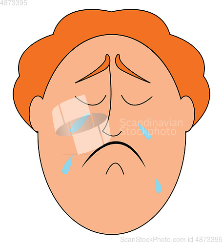 Image of Kid crying vector illustration