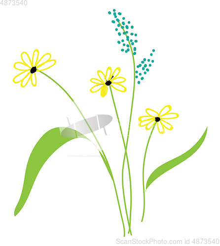Image of Beautiful field flowers 