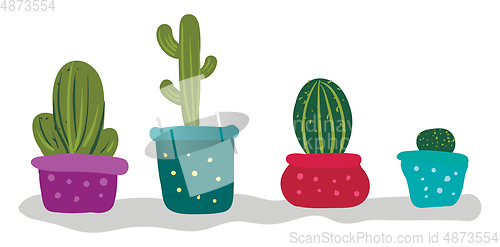 Image of Bunch of cactus plants for indoor decoration provides extra styl