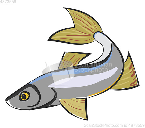 Image of Clipart of a sig fish vector or color illustration