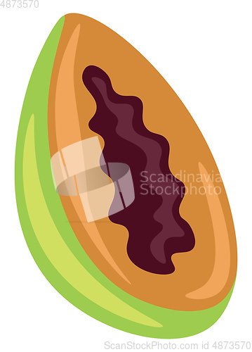 Image of Cartoon picture of half-cut papaya with its black seeds vector o